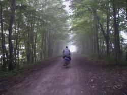 Fundraising Page Image